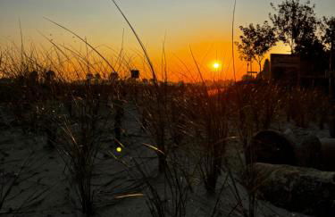 Haus Viking mit 2 Ferienwohnungen Bjorn 4 Pers und Floki 6 Pers mit Düne und Garten - Foto 43