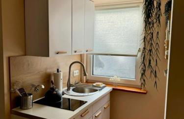 Residenz zu Caub - Pfalzgrafenstein Appartment - Foto 6