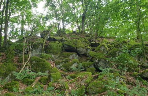 Ferienhaus Dreier-Ley - Foto 9