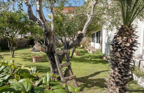 Le Lantane 2 - Photo 29