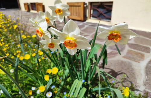 Casa Marina - Photo 15