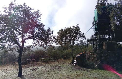 Finca Las Victorias - Foto 14