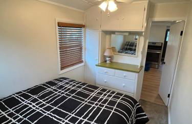 The little blue jay - Foto 10