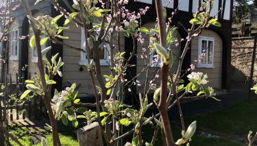 Mandauhaus Großschönau - Foto 2