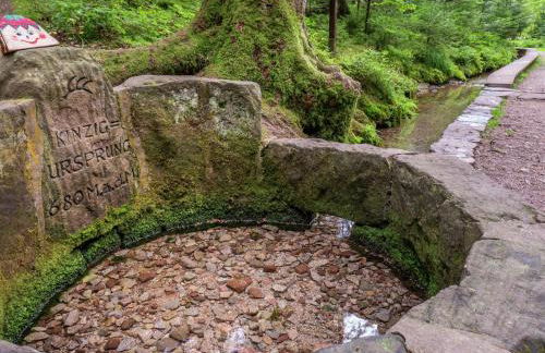 Cozy Holiday Home in Loßburg near Ski Area - Photo 73