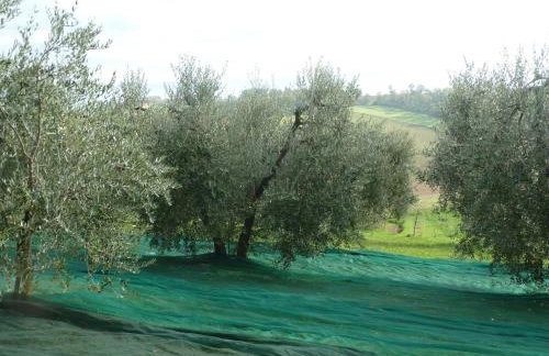 La Fortezza Alta - Foto 66