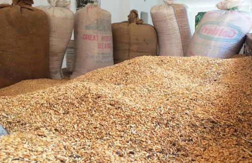 Masseria Pappo - Foto 67