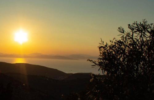 Ioulis Century Home - Photo 30