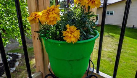 The Nook At Big Lake AK - Foto 5