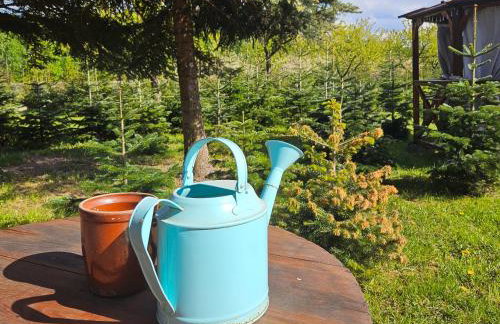 Sielski Dom I Sauna i Jacuzzi dodatkowo płatna opcja - Foto 26