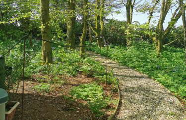 Doughery Den The Dark Hedges Hideaway - Foto 17