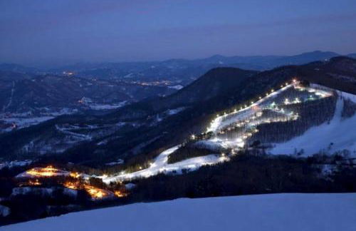 Maggie Valley Cabin with Private Hot Tub and Game Room - Foto 43
