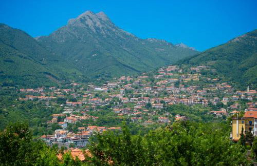 Rosa Maison - Foto 30