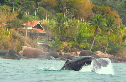Sol-lua Bangalo com uso exclusivo da piscina - Foto 12