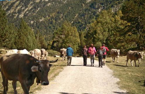 Casa Rural Hortal - Foto 11