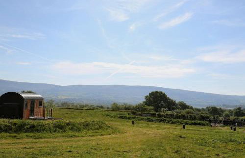 Long Meadow Shepherd Hut - Brecon Beacons, LD3 7TD - Foto 37