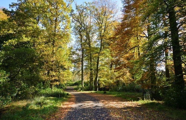 Finnich Cottages - Photo 50