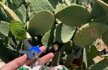 PaolOttaviA - Foto 33