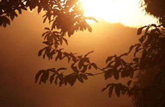 Finca El Zurrador - Foto 35