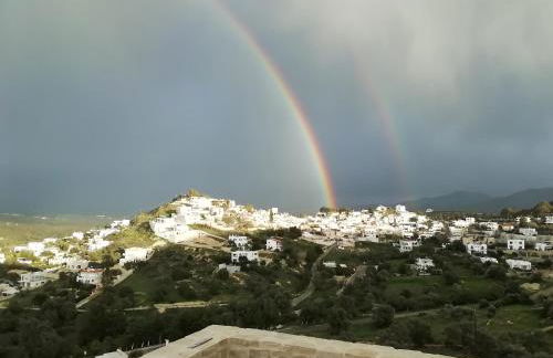 Villa Celine - Photo 54