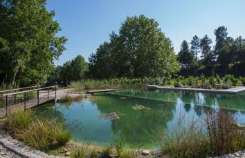 Quinta do Minhoto - Foto 31