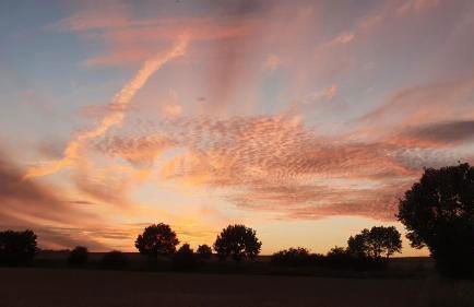 Ferienhaus Q1, Ruhe und Erholung in der Eifel - Foto 29