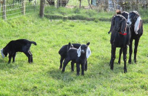 Weavers Cottage - Foto 25