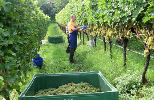 Huebenburg - Foto 45