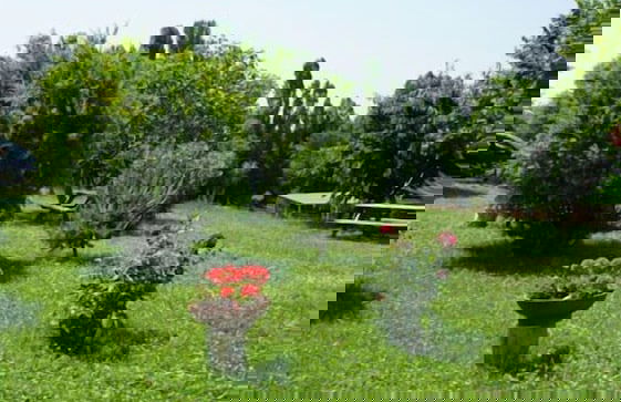 Agriturismo Case Mori - Foto 32