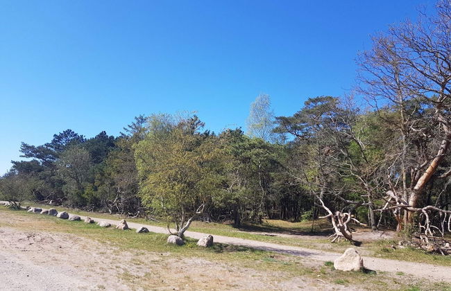 8 Person Holiday Home in Melby-by Traum - Foto 20