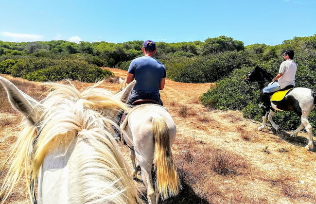 Bungalow de texas - Foto 6