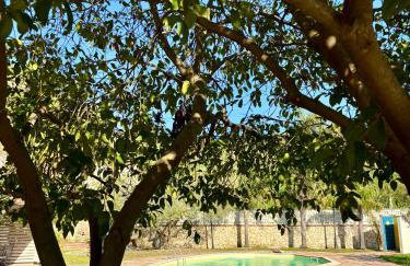 Villa Etnamare - Photo 19