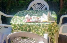 El laurel y el limonero. - Foto 14