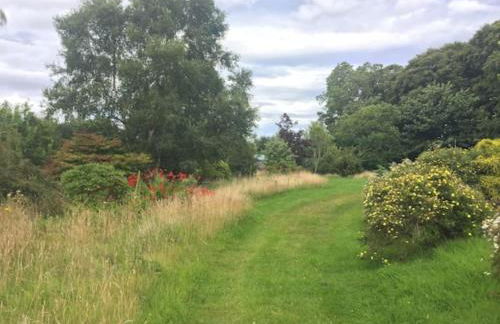 Home Comforts in Peaceful 2 Acres - Photo 9