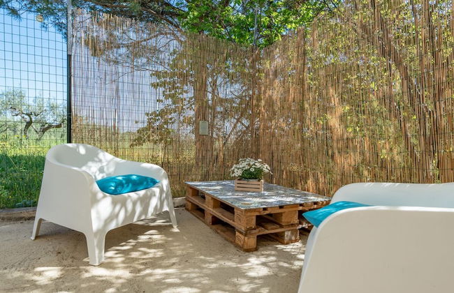 Il Fico nel Pozzo in Fossacesia - Foto 19