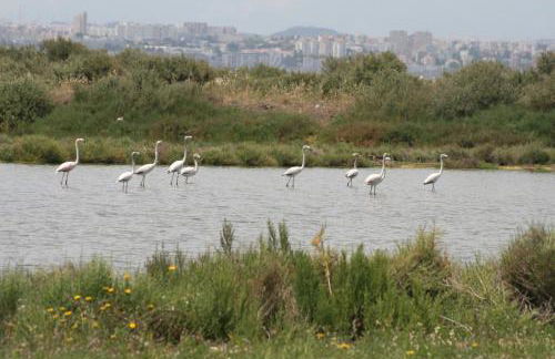 TangoSierraResidences - Foto 45