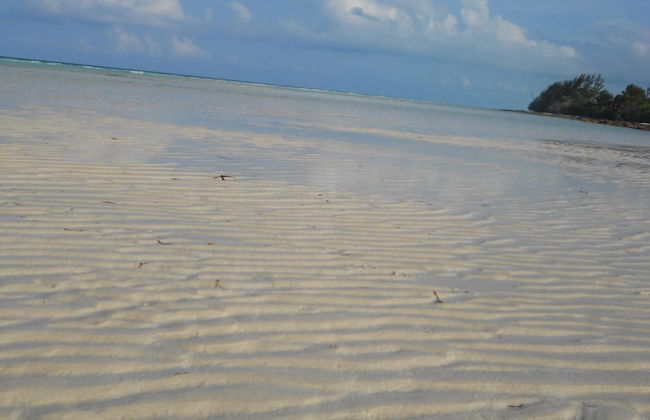 Nathan's Lodge - Photo 42