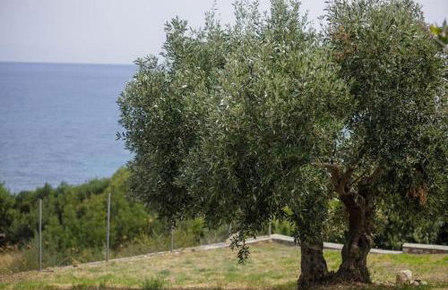 Alethea's Sea View Apartment - Foto 15