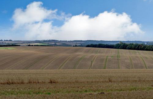 2 Pheasant - Photo 18