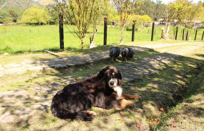 El Hostel Granjero - Foto 47