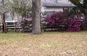 Happy Place near WEC , Natural Springs,Zip-Line - Photo 12