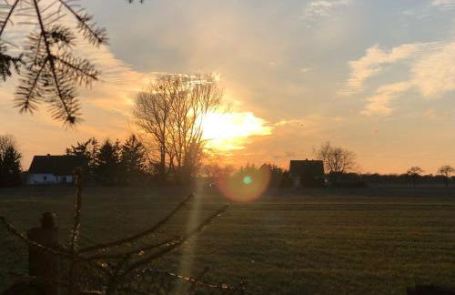 Peeneurlaub - Foto 35