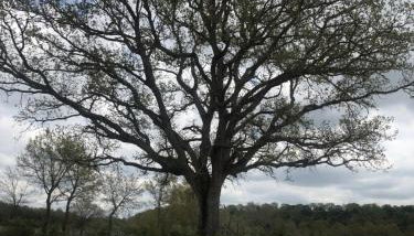 Agriturismo Antiglia - Photo 2