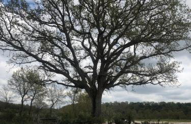 Agriturismo Antiglia - Foto 2