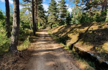 Les gîtes Estaou Treillo - Foto 50