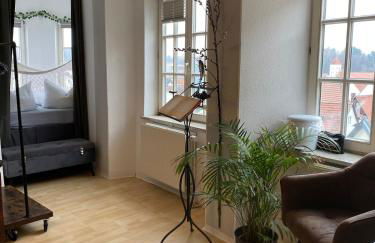 Room in Apartment - Schlummern Wie Dornröschen&rapunzel Im Schlösschen - Foto 33