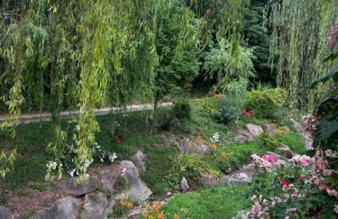 Villa Elisabetta - Foto 33