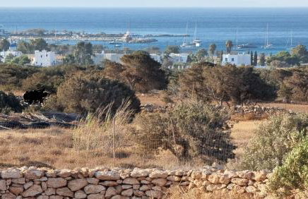 MedBlu Paros - Foto 25