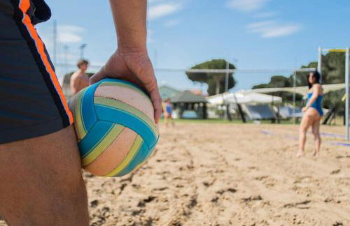 Fiori di Cardo - Agrimare - Foto 17