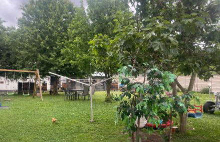 Ferienwohnung am Rhein - Foto 2